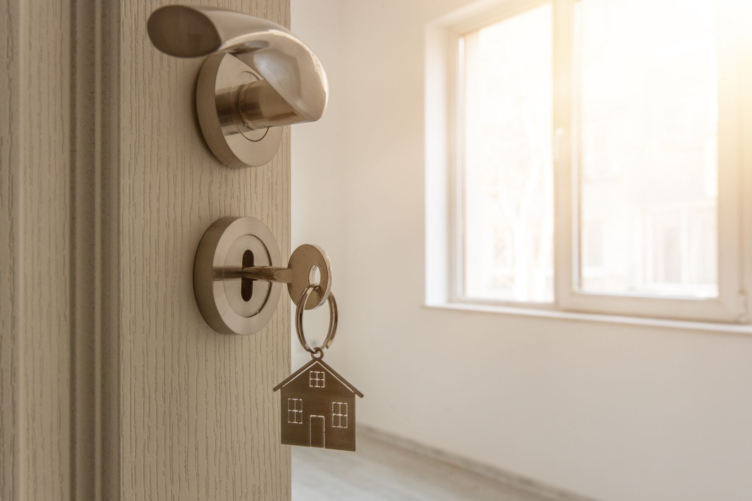 Balancing Privacy and Security in Rental Homes